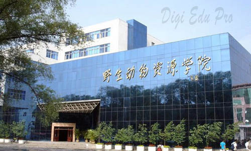 logo-image